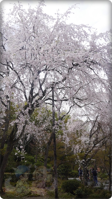 天龍寺