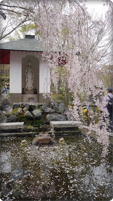 天龍寺 天龍寺