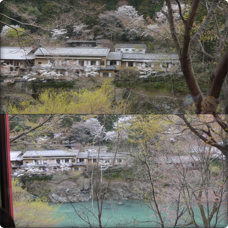 坐嵐山觀光小火車 坐嵐山觀光小火車