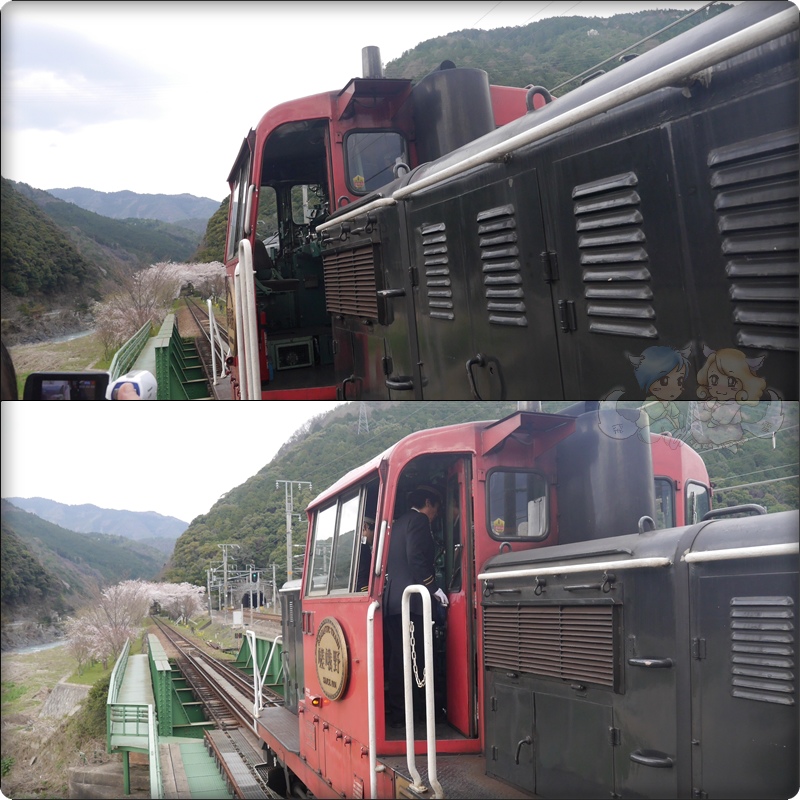嵐山觀光小火車 嵐山觀光小火車