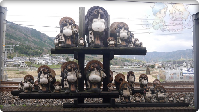 トロッコ亀岡駅上的狸貓 トロッコ亀岡駅上的狸貓