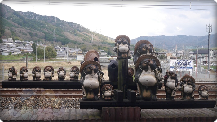 トロッコ亀岡駅上的狸貓 トロッコ亀岡駅上的狸貓