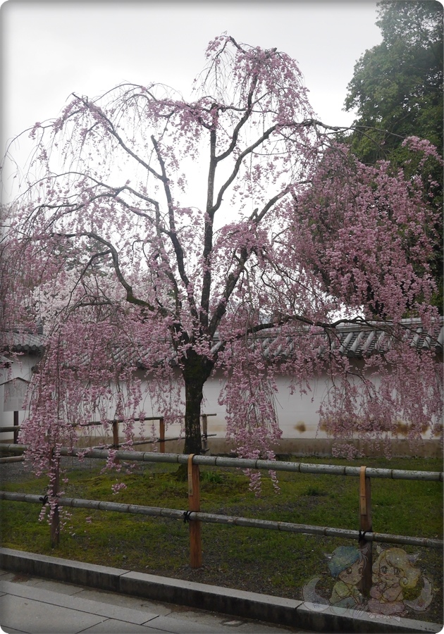 醍醐寺 醍醐寺