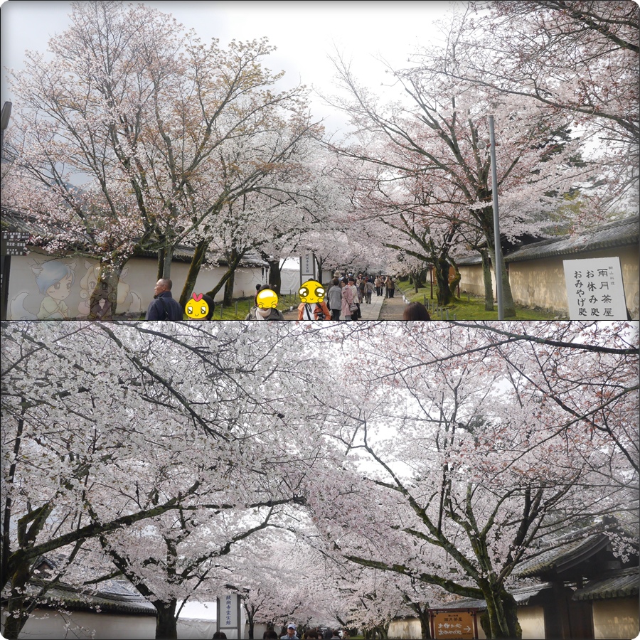 醍醐寺 醍醐寺