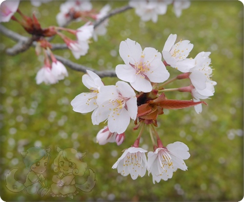 醍醐寺．灵宝館