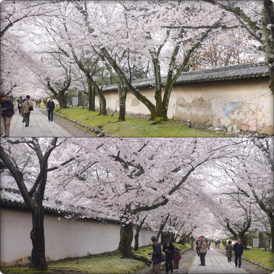 醍醐寺 醍醐寺