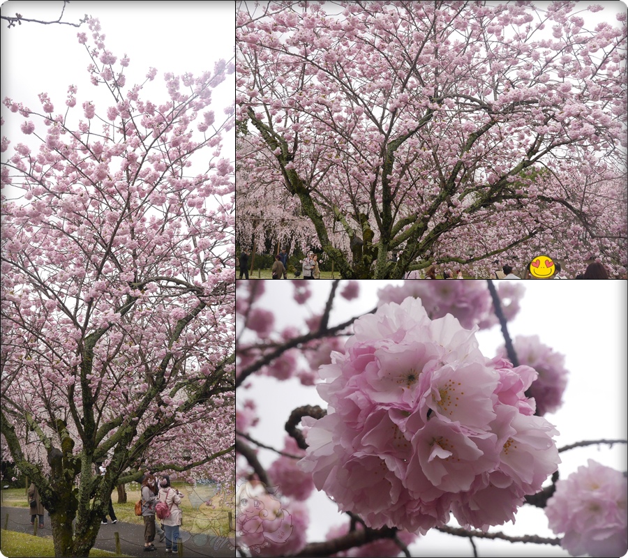 醍醐寺．灵宝館