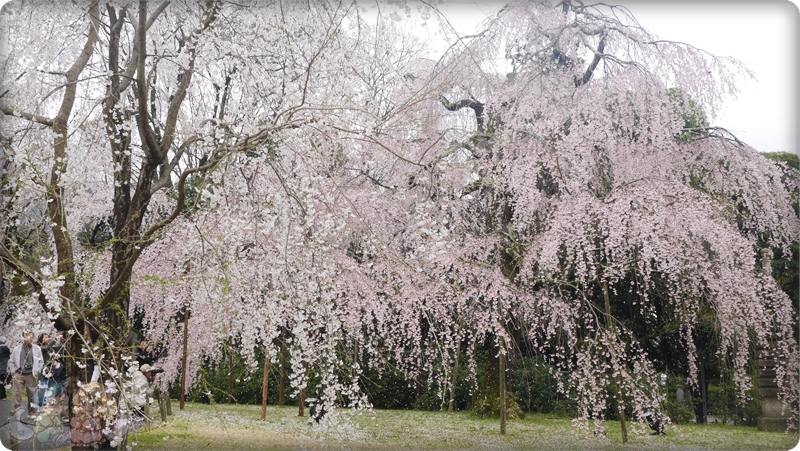 醍醐寺.灵宝館 醍醐寺.灵宝館
