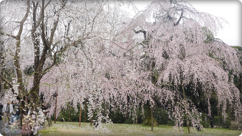 醍醐寺．灵宝館