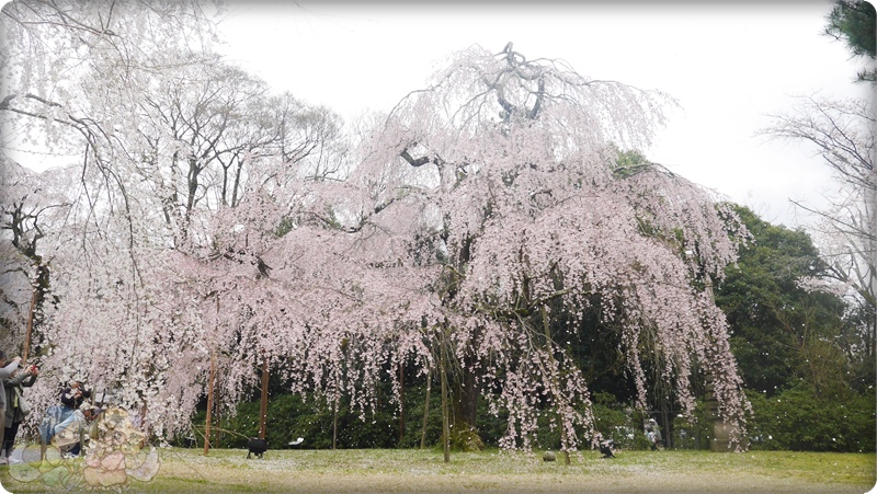 醍醐寺.灵宝館 醍醐寺.灵宝館