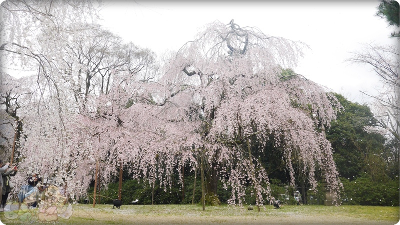 醍醐寺．灵宝館