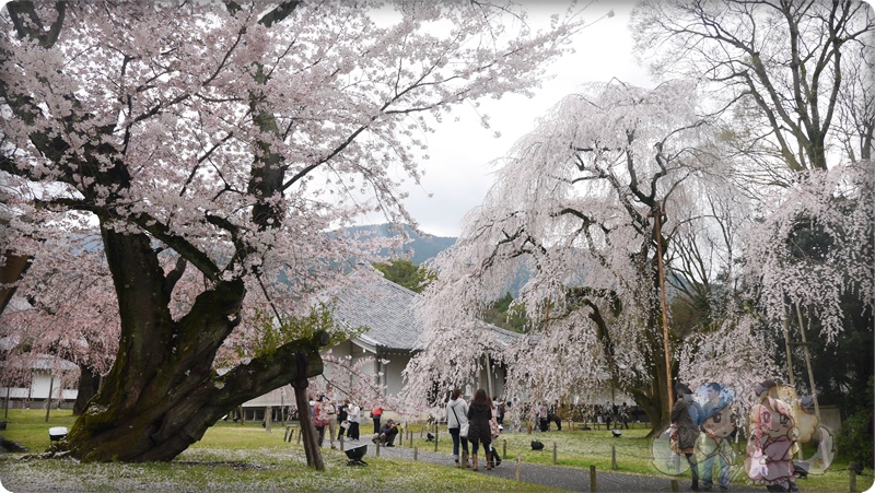 醍醐寺．灵宝館