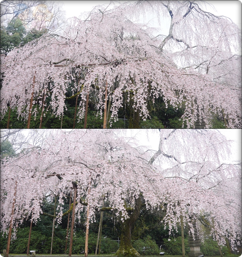 醍醐寺．灵宝館