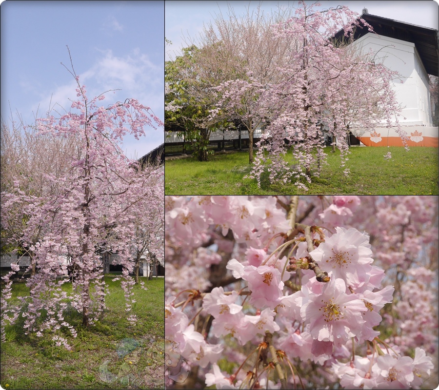 醍醐寺.灵宝館 醍醐寺.灵宝館
