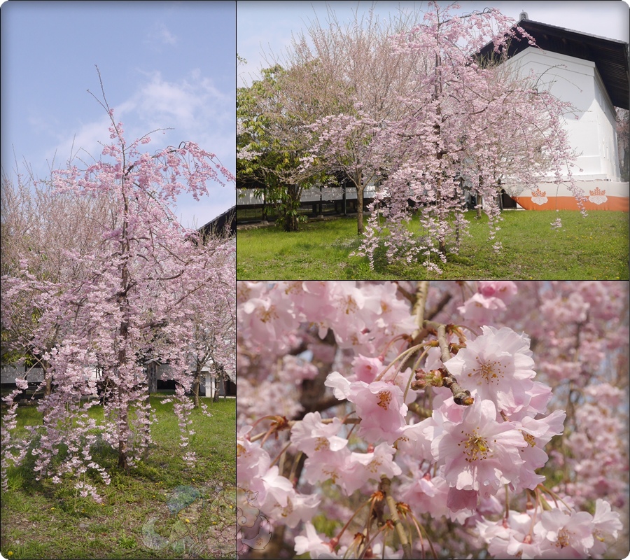 醍醐寺．灵宝館