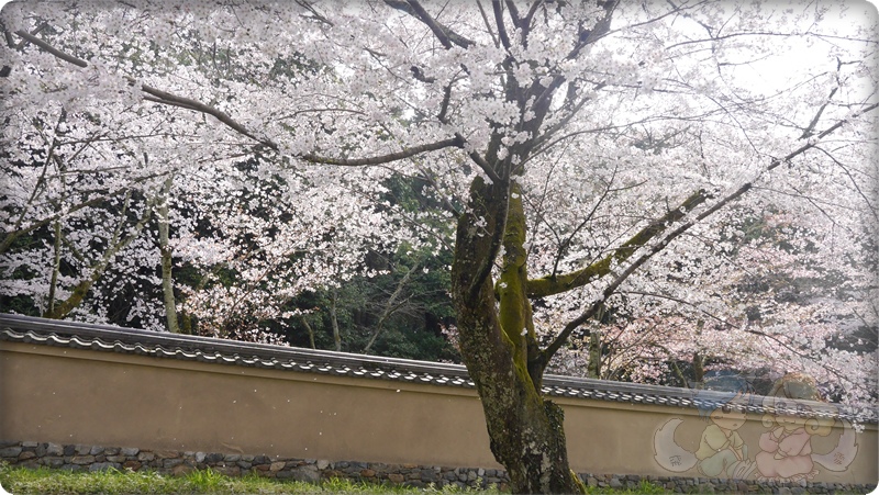 醍醐寺．灵宝館