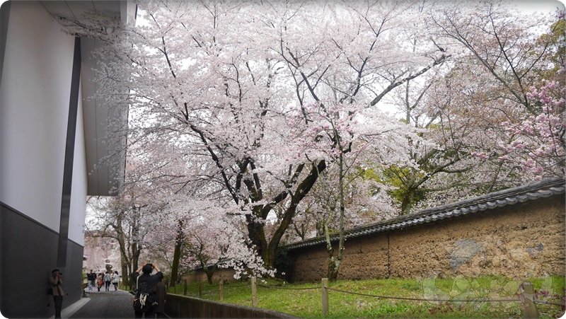 醍醐寺．灵宝館