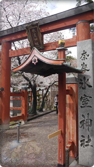 奈良.氷室神社 奈良.氷室神社