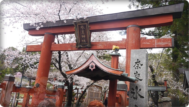 奈良.氷室神社 奈良.氷室神社