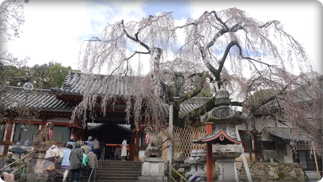 奈良.氷室神社 奈良.氷室神社