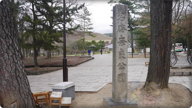 奈良公園 奈良公園