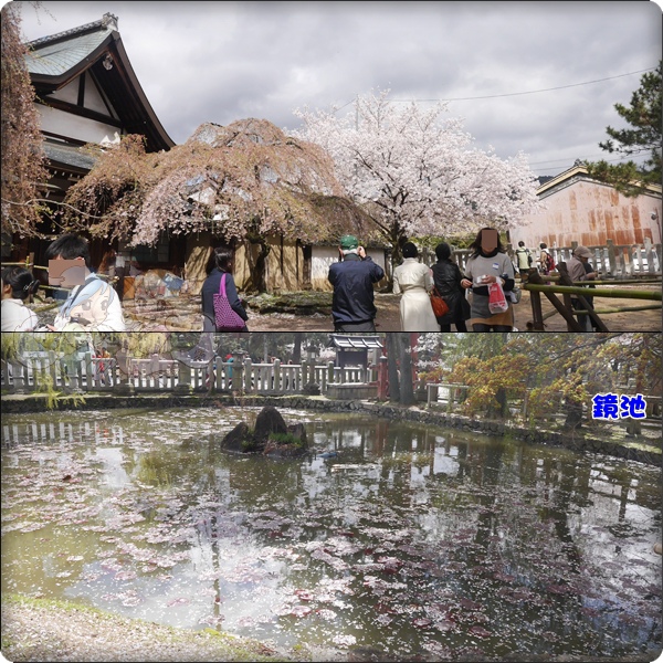 奈良.氷室神社 奈良.氷室神社