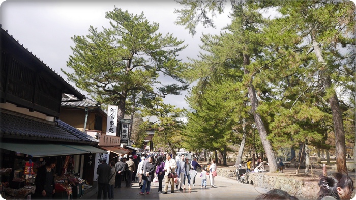 往東大寺的路上,右邊是奈良公園 往東大寺的路上,右邊是奈良公園