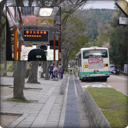 在奈良公園前面搭公車，準備前往春日大社