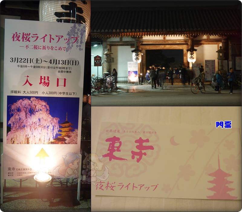 東寺夜桜 東寺夜桜