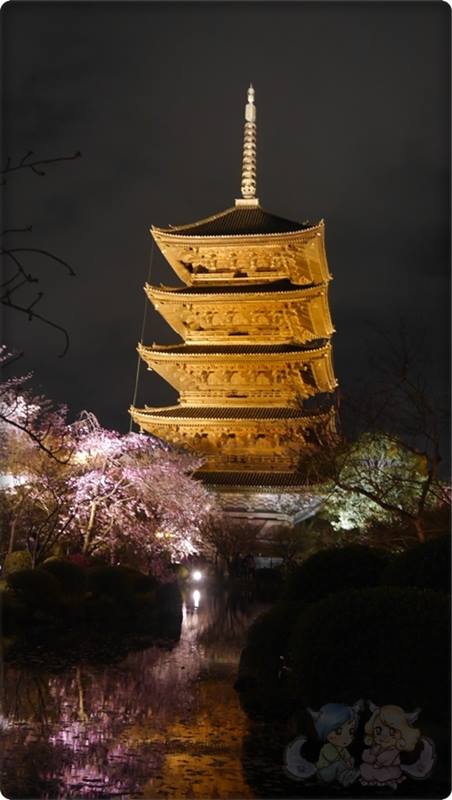 東寺夜桜 東寺夜桜