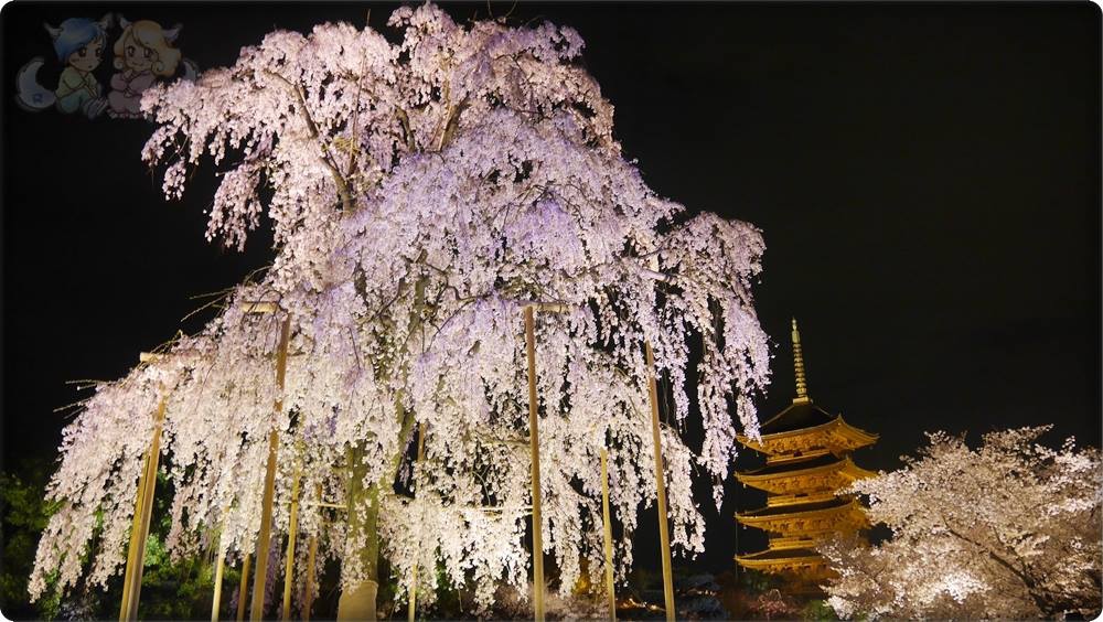 東寺夜桜 東寺夜桜
