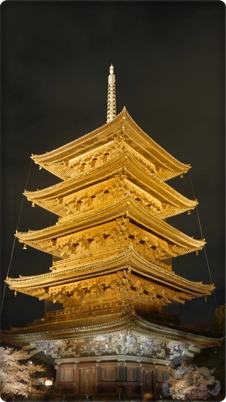 東寺夜桜 東寺夜桜