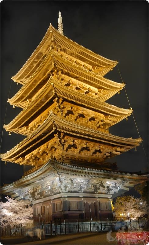 東寺夜桜 東寺夜桜