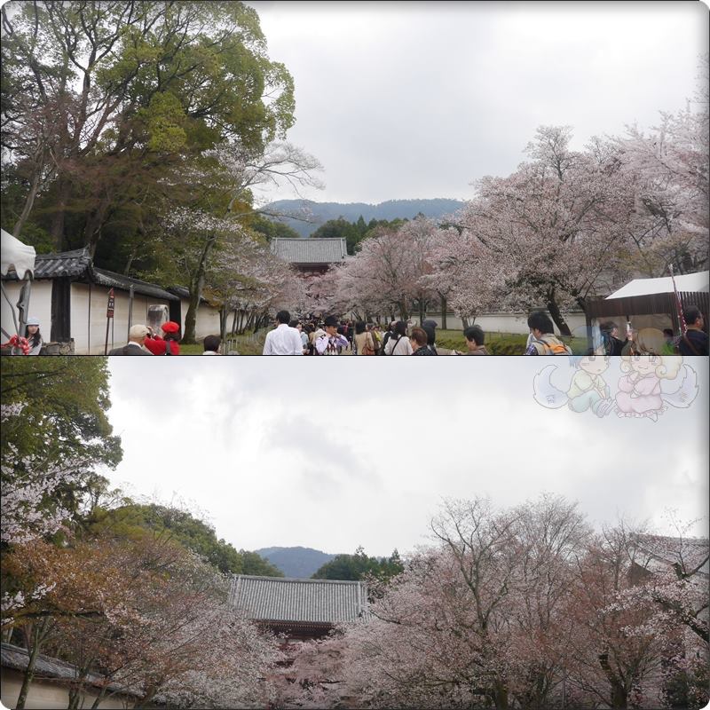 醍醐寺 醍醐寺