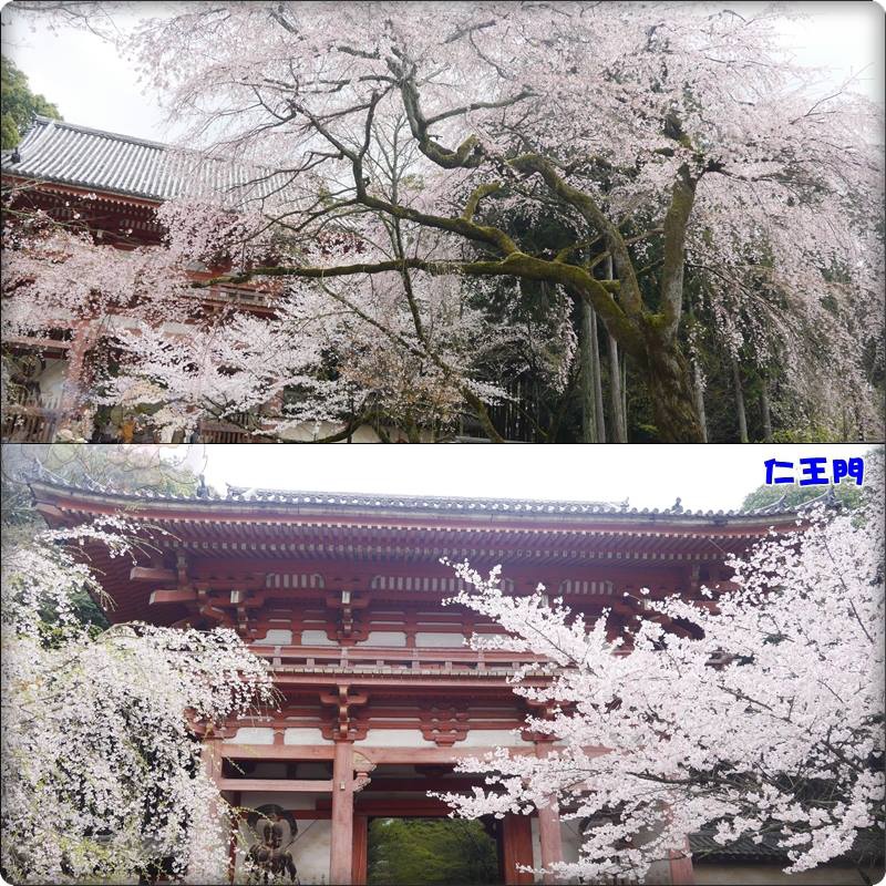 醍醐寺.仁王門 醍醐寺.仁王門