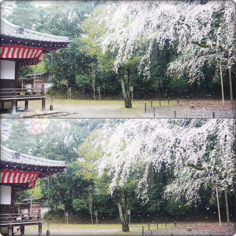 醍醐寺 醍醐寺