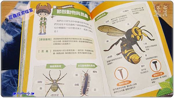 知識學習漫畫◆鄭布爾、韓巴理—昆蟲探長鄭布爾①&② 知識學習漫畫◆鄭布爾、韓巴理—昆蟲探長鄭布爾①&②