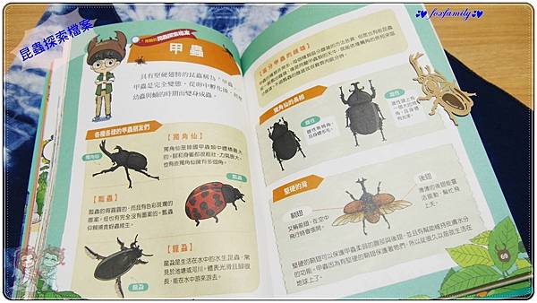 知識學習漫畫◆鄭布爾、韓巴理—昆蟲探長鄭布爾①&② 知識學習漫畫◆鄭布爾、韓巴理—昆蟲探長鄭布爾①&②