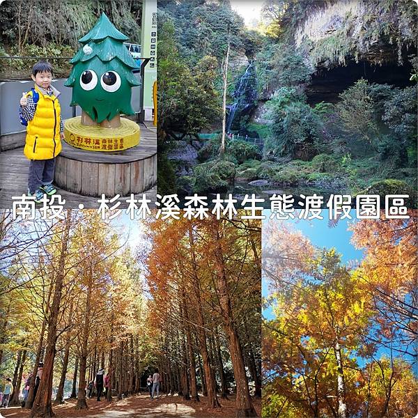 南投♥♡♥杉林溪森林生態渡假園區．散策在負離子森林中、黃金水