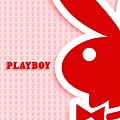 Play-boy桌布004.jpg