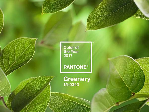 PANTONE-Color-of-the-Year-2017-Greenery-15-0343-leaves-2732x2048-1200x900.jpg