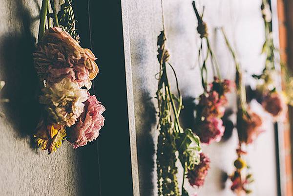 Dried-Flowers_2.jpg