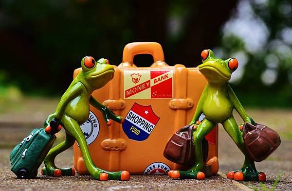 frog-991305_1920.jpg frog-991305_1920.jpg