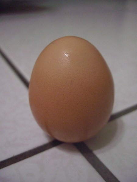 粽子05.jpg