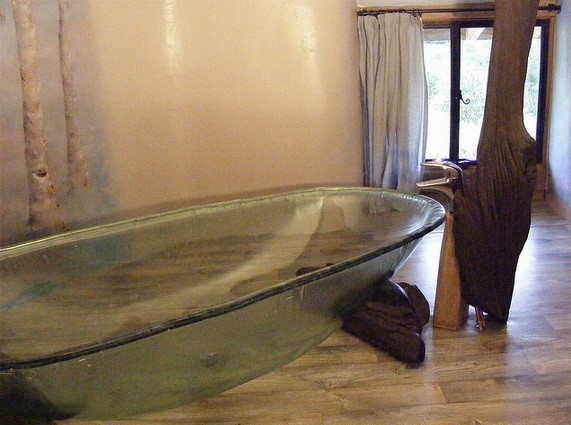 806.jpg