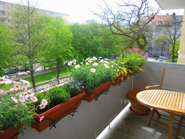 balcony-planting-balcony-design-plant-functional-flower-pots.jpg