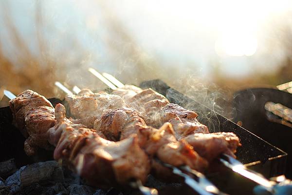 shish-kebab-2709499_1920.jpg