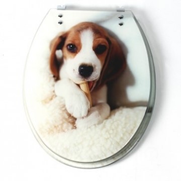 021106.jpg 021106.jpg