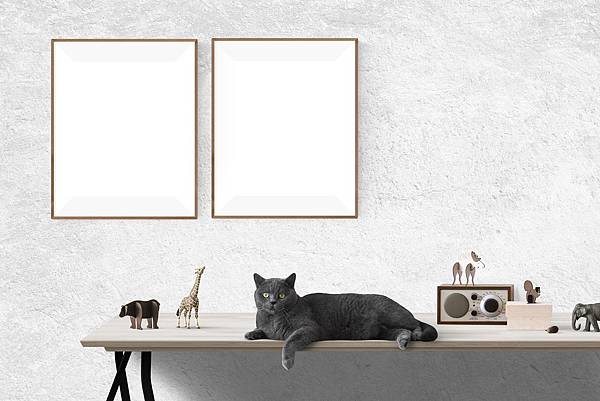 poster-mockup-2853865_1920.jpg poster-mockup-2853865_1920.jpg