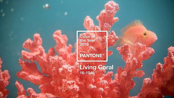 pantone-colour-of-year-2019-living-coral-design_dezeen_hero-852x479.jpg pantone-colour-of-year-2019-living-coral-design_dezeen_hero-852x479.jpg